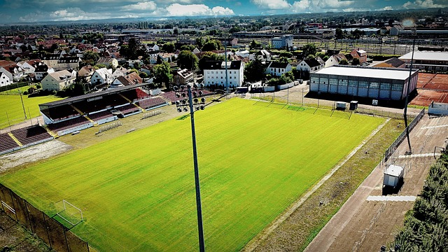 他的到来曾 他的到来曾